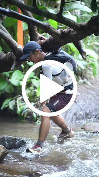 BIB:  <button type="button" onclick="openModal(27808989)" class="btn btn-primary btn-sm float-right" data-toggle="modal" data-target=".modal-high-quality">
                <i class="fa fa-download"></i> Download
                </button>